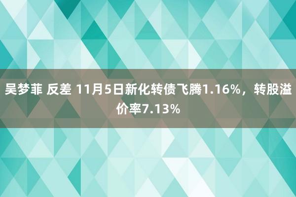 吴梦菲 反差 11月5日新化转债飞腾1.16%，转股溢价率7.13%