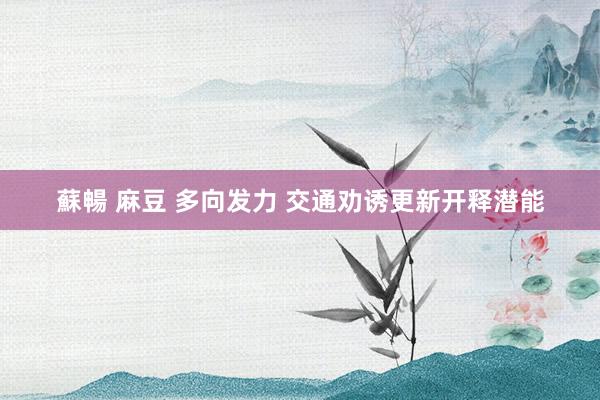 蘇暢 麻豆 多向发力 交通劝诱更新开释潜能