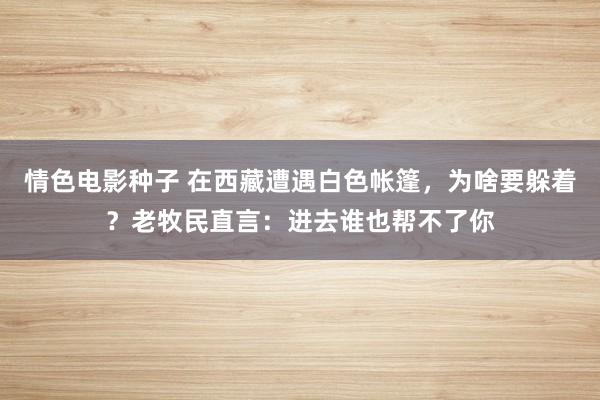 情色电影种子 在西藏遭遇白色帐篷，为啥要躲着？老牧民直言：进去谁也帮不了你