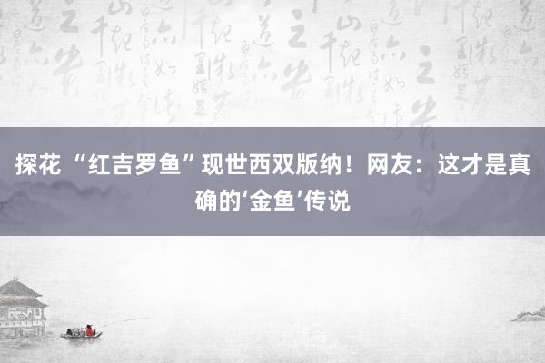 探花 “红吉罗鱼”现世西双版纳！网友：这才是真确的‘金鱼’传说