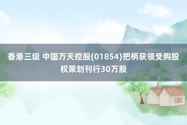 香港三级 中国万天控股(01854)把柄获领受购股权策划刊行30万股