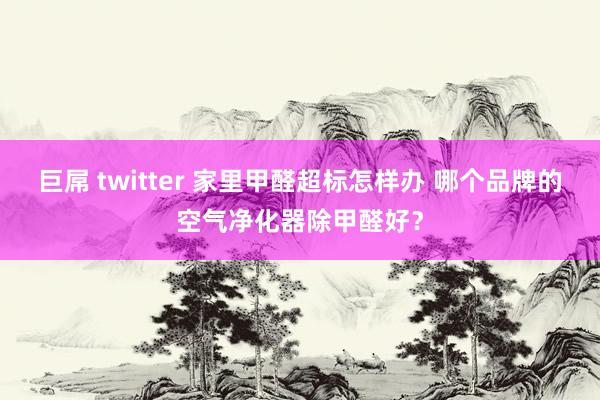 巨屌 twitter 家里甲醛超标怎样办 哪个品牌的空气净化器除甲醛好？