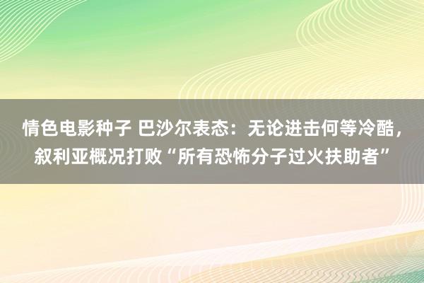 情色电影种子 巴沙尔表态：无论进击何等冷酷，叙利亚概况打败“所有恐怖分子过火扶助者”