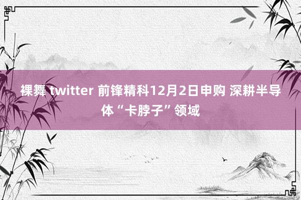 裸舞 twitter 前锋精科12月2日申购 深耕半导体“卡脖子”领域