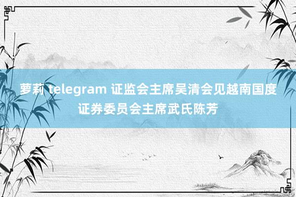 萝莉 telegram 证监会主席吴清会见越南国度证券委员会主席武氏陈芳