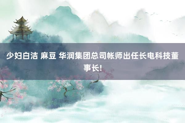 少妇白洁 麻豆 华润集团总司帐师出任长电科技董事长!