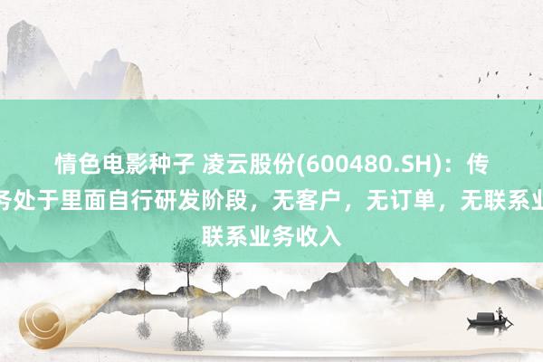 情色电影种子 凌云股份(600480.SH)：传感器业务处于里面自行研发阶段，无客户，无订单，无联系业务收入