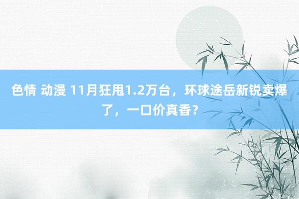 色情 动漫 11月狂甩1.2万台，环球途岳新锐卖爆了，一口价真香？