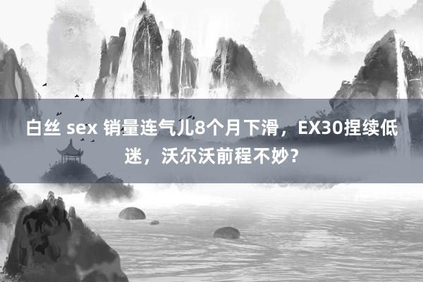 白丝 sex 销量连气儿8个月下滑，EX30捏续低迷，沃尔沃前程不妙？