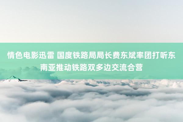 情色电影迅雷 国度铁路局局长费东斌率团打听东南亚推动铁路双多边交流合营