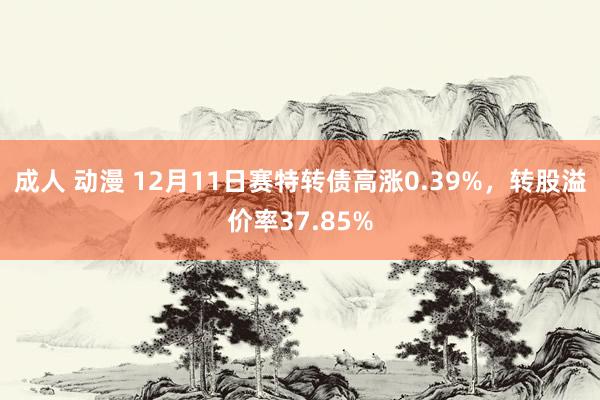 成人 动漫 12月11日赛特转债高涨0.39%，转股溢价率37.85%