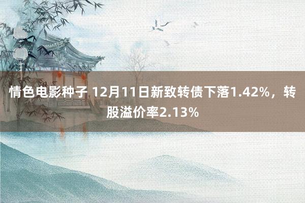 情色电影种子 12月11日新致转债下落1.42%，转股溢价率2.13%