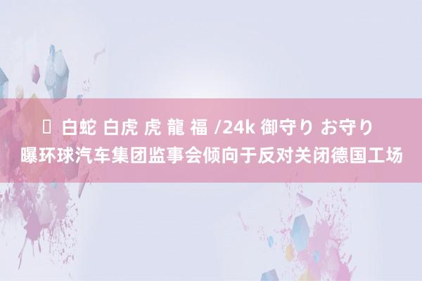 ✨白蛇 白虎 虎 龍 福 /24k 御守り お守り 曝环球汽车集团监事会倾向于反对关闭德国工场