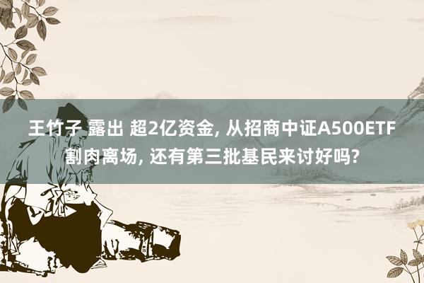 王竹子 露出 超2亿资金， 从招商中证A500ETF割肉离场， 还有第三批基民来讨好吗?