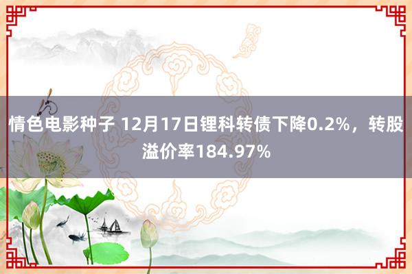 情色电影种子 12月17日锂科转债下降0.2%，转股溢价率184.97%