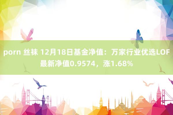 porn 丝袜 12月18日基金净值：万家行业优选LOF最新净值0.9574，涨1.68%