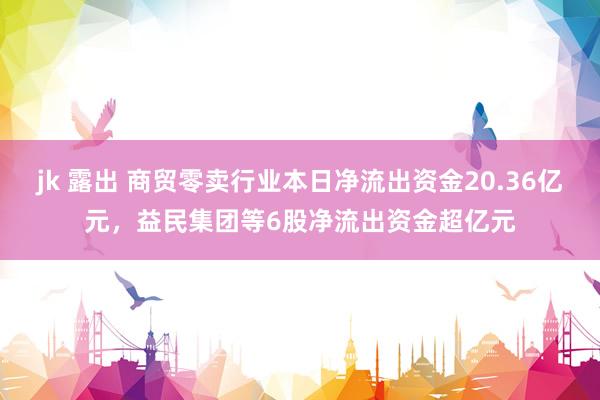 jk 露出 商贸零卖行业本日净流出资金20.36亿元，益民集团等6股净流出资金超亿元