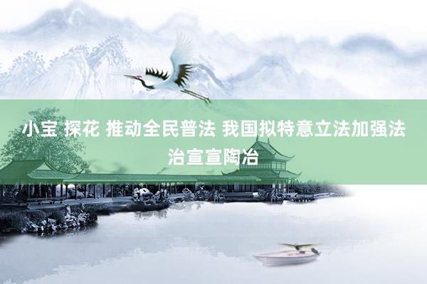 小宝 探花 推动全民普法 我国拟特意立法加强法治宣宣陶冶