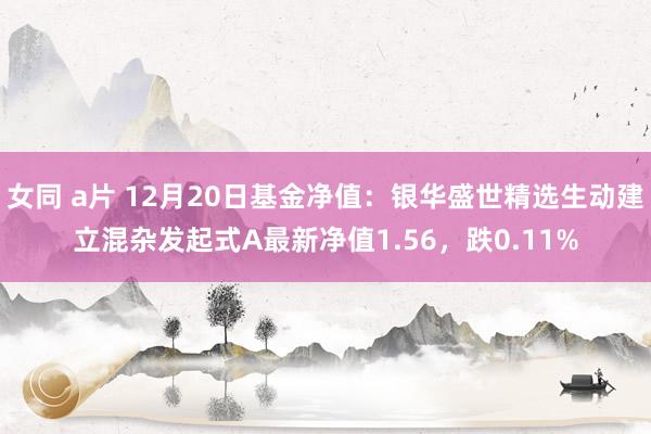 女同 a片 12月20日基金净值：银华盛世精选生动建立混杂发起式A最新净值1.56，跌0.11%