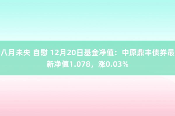 八月未央 自慰 12月20日基金净值：中原鼎丰债券最新净值1.078，涨0.03%