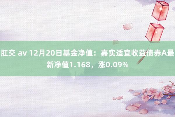 肛交 av 12月20日基金净值：嘉实适宜收益债券A最新净值1.168，涨0.09%