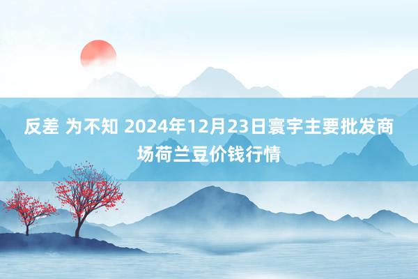 反差 为不知 2024年12月23日寰宇主要批发商场荷兰豆价钱行情