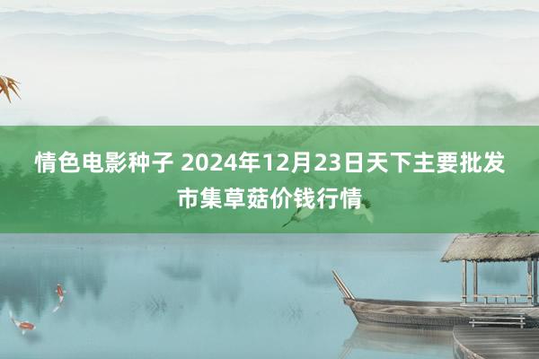 情色电影种子 2024年12月23日天下主要批发市集草菇价钱行情