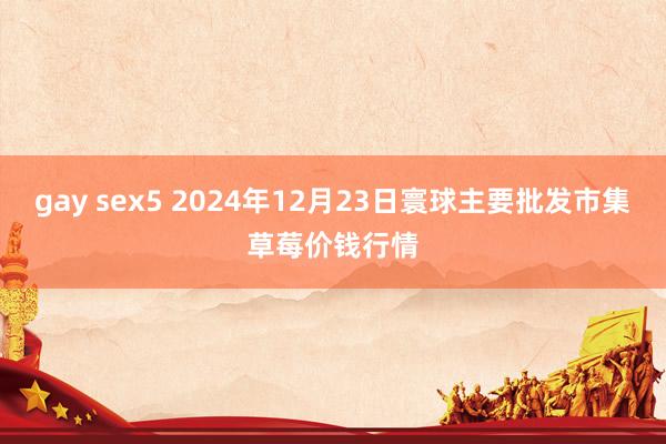 gay sex5 2024年12月23日寰球主要批发市集草莓价钱行情