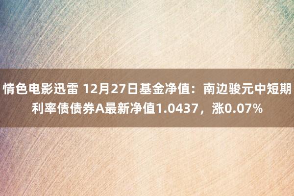 情色电影迅雷 12月27日基金净值：南边骏元中短期利率债债券A最新净值1.0437，涨0.07%