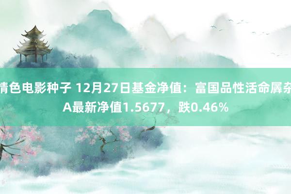 情色电影种子 12月27日基金净值：富国品性活命羼杂A最新净值1.5677，跌0.46%