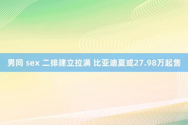 男同 sex 二排建立拉满 比亚迪夏或27.98万起售