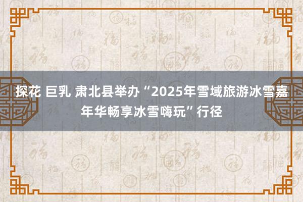 探花 巨乳 肃北县举办“2025年雪域旅游冰雪嘉年华畅享冰雪嗨玩”行径