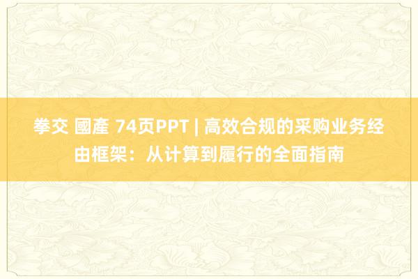 拳交 國產 74页PPT | 高效合规的采购业务经由框架：从计算到履行的全面指南