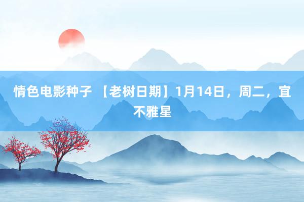 情色电影种子 【老树日期】1月14日，周二，宜不雅星