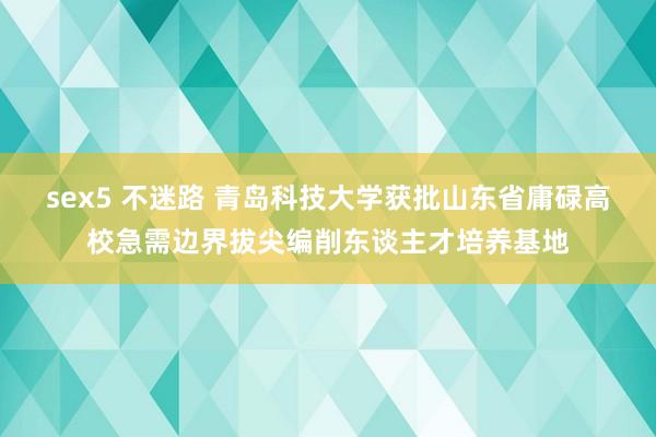 sex5 不迷路 青岛科技大学获批山东省庸碌高校急需边界拔尖编削东谈主才培养基地