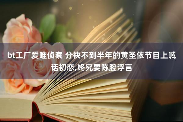bt工厂爱唯侦察 分袂不到半年的黄圣依节目上喊话初恋,终究要陈腔浮言